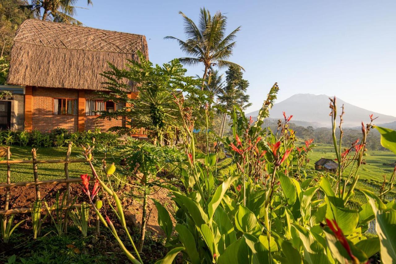 Romantic Barn With Mt. Agung Views Sidemen  Buitenkant foto